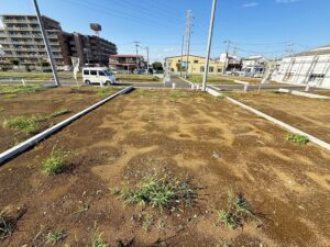 batch_No.3区画 (1)