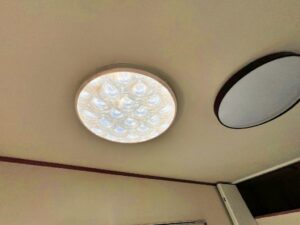 batch_IMG_8858
