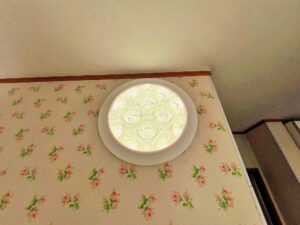 batch_IMG_8861